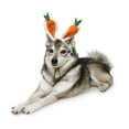 thumbnail image 2 of Midlee Carrot Bunny Ears Easter Dog Headband Costume (Large), 2 of 7