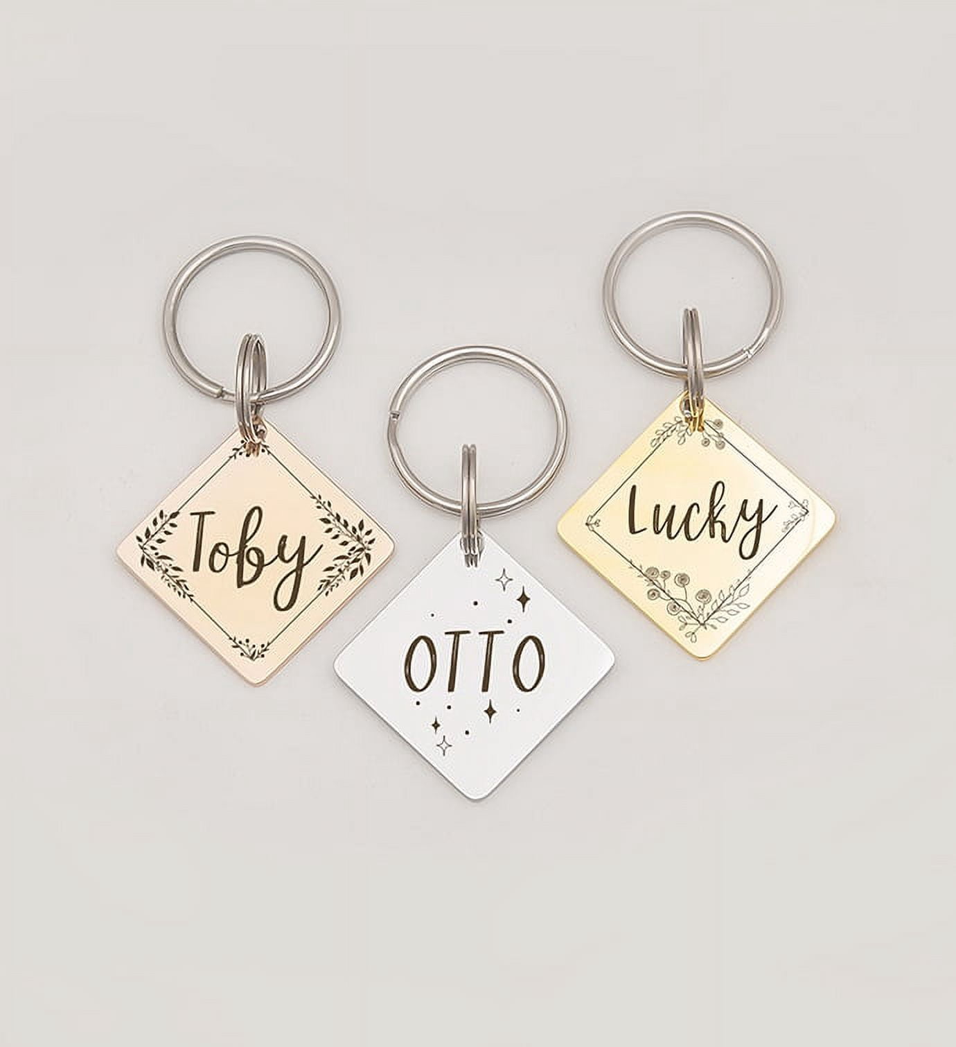 Anavia Stainless Steel Double Sided Diamond Name - Frame Engraved Dog & Cat ID Tag, Silver, L