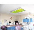 thumbnail image 6 of Octo Lights - Fluorescent Light Covers - 2x4 Flexible Ceiling Light Filters - For Classrooms and Offices - Tree 004, 6 of 7