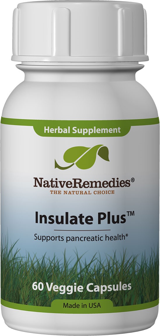 NativeRemedies Insulate Plus Insulin Vegetable Tablets, 60 Ct