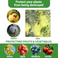 thumbnail image 5 of QinaQin 10x12 Ft Large Fruit Tree Netting with Zipper & Drawstring,Plant Cover Insect Netting,Reusable for Garden,Bushes,Flowers,White, 5 of 8