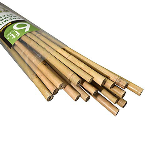 Garden Stakes Natural Bamboo Pole Plant Stake Support 25-Pack 1/2 in x 6 ft 