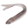 thumbnail image 2 of Cebo de señuelo, 2 juegos de cebo de señuelo de pesca de simulación artificial portátil cebo de señuelo de silicona suave eficiencia óptima Jadeshay A, 2 of 8