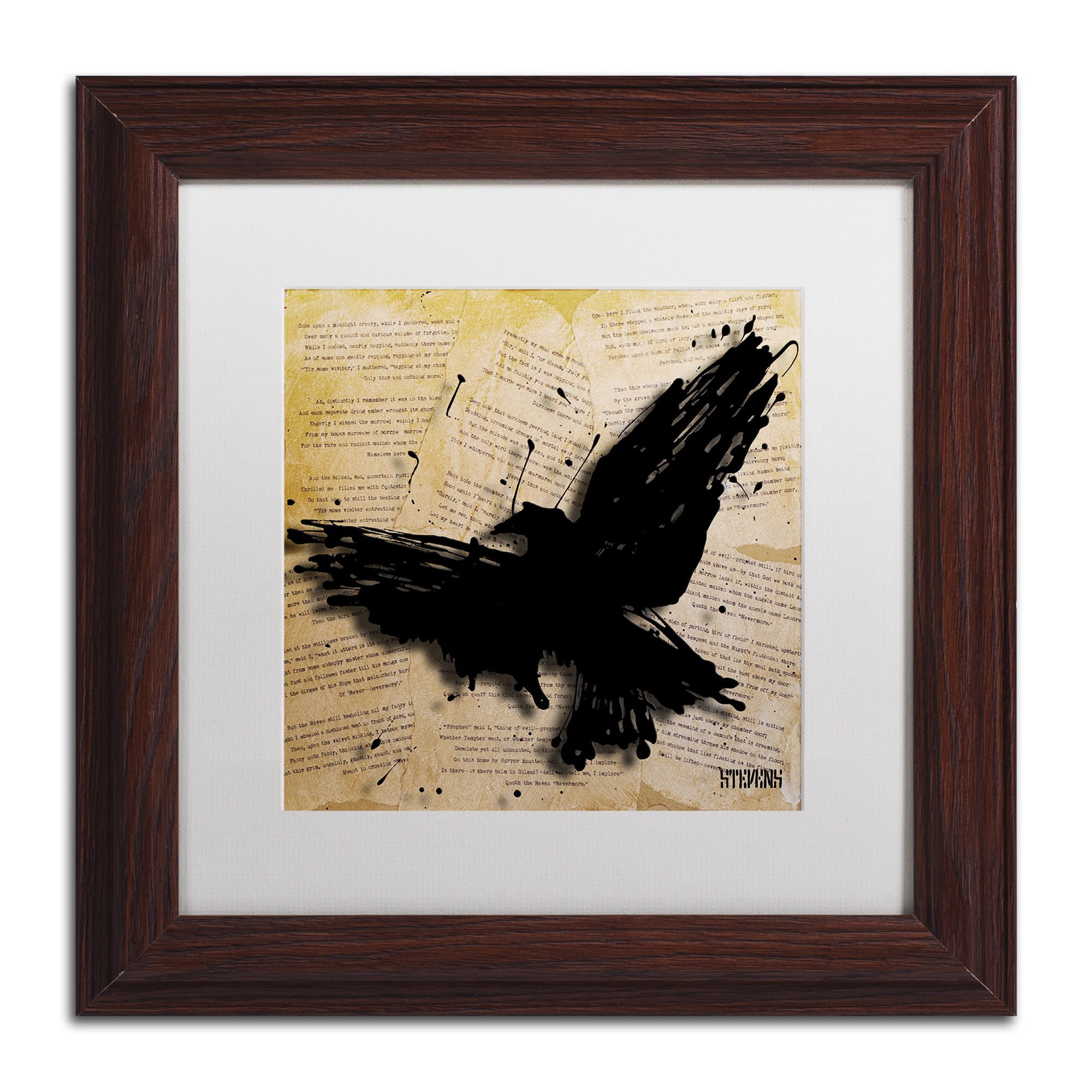 Trademark Fine Art "The Raven 2" Canvas Art by Roderick Stevens, White Matte, Wood Frame