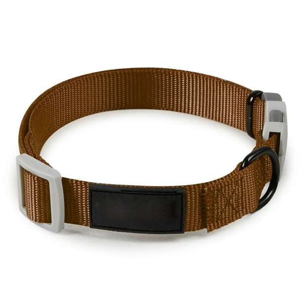 Cool dog 2024 collar brands