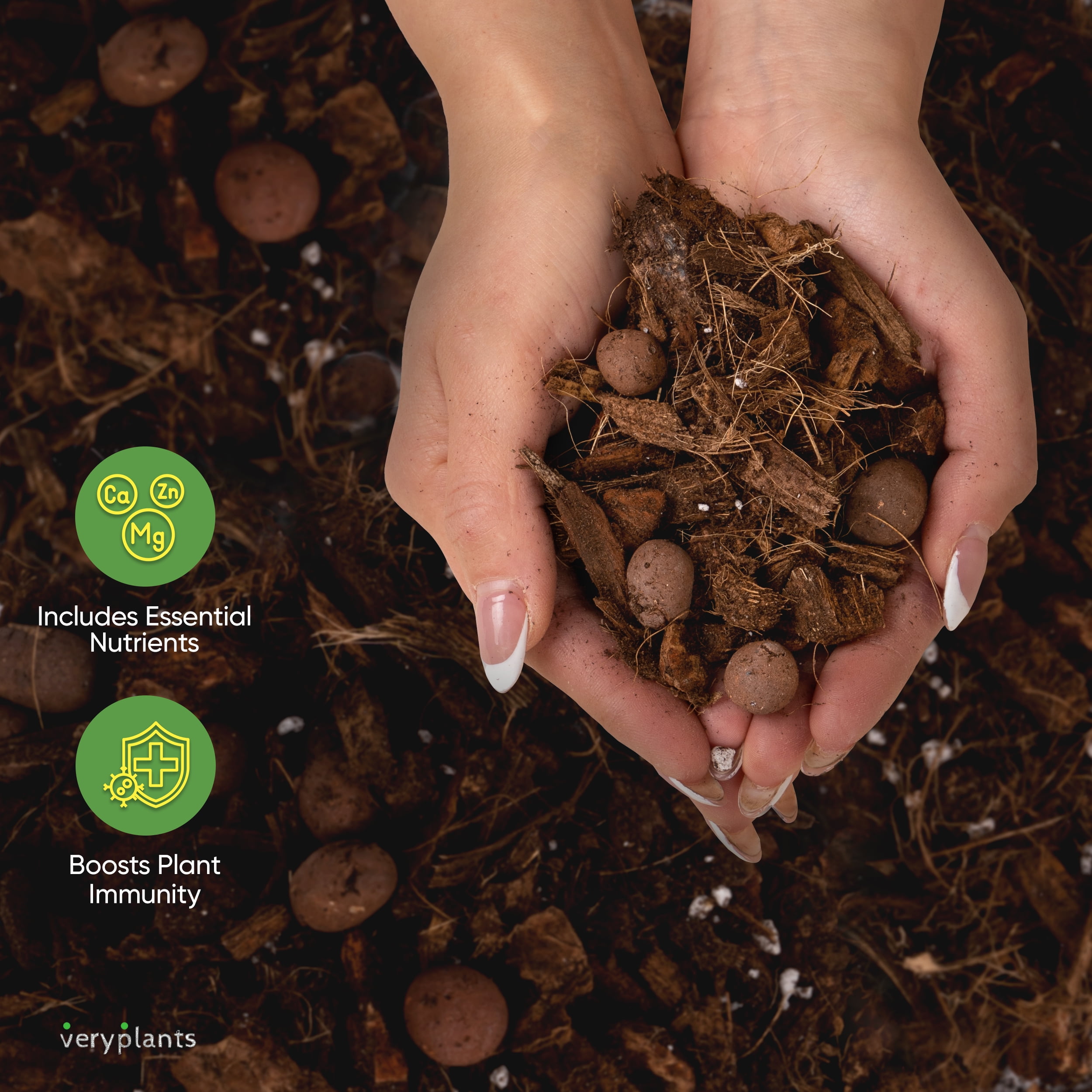 Molly's Aroid Mix - A Premium Tropical Plant Soilless Potting Mix by VERYPLANTS