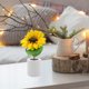 thumbnail image 4 of Raindrops De Girasol Con LED Ajustable Para De Hogar, 4 of 6
