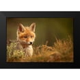 thumbnail image 2 of Adamec, Robert 14x11 Black Modern Framed Museum Art Print Titled - Fox, 2 of 5