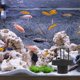 thumbnail image 4 of BESTYASH Cubierta Plástica Para Humidificador Compatible Con Rocalla Y Acuarios, 4 of 6