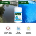 thumbnail image 3 of TFixol Pool Cleaning Float With 100pcs Purifier Tablets Swimming Pool Chlorine Dispenser Kit, 3 of 7