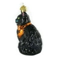 thumbnail image 4 of Old World Christmas 3.50In Halloween Kitty, Glass, Black Cat Spooky 26033, 4 of 4