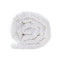 thumbnail image 3 of Gracie Mills Freddy Featherless Cotton Down Alternative Comforter - GRACE-4219, 3 of 5