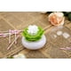 thumbnail image 5 of Caja de almacenamiento de hisopos de algodón con forma de flor de loto, hisopos de algodón, almacenamiento de cosméticos, decoración de baño, verde Ormromra ZJWJ430-1, 5 of 6