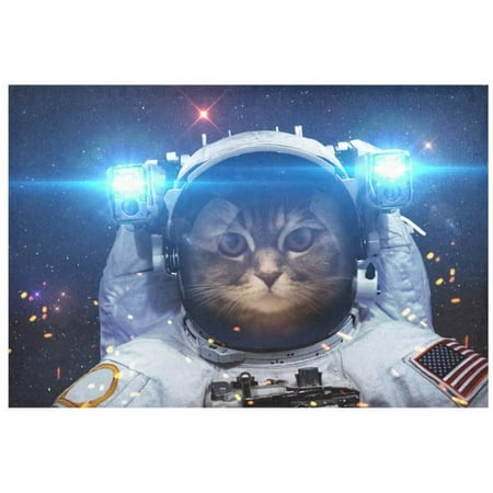 

ECZJNT Cool Cat Astronaut Placemat Plate Holder Set of 2 Outer Universe Space Table Mats Protector 12x18 inch