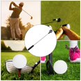 thumbnail image 4 of Herwey Portable Telescopic Golf Ball Picker Retriever Scooping Pick Up Device Golfer Tool Accessory, 4 of 7