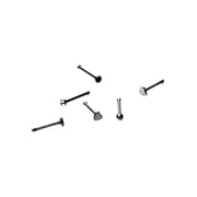 No Boundaries Womens Nose Stud, 20G, 6-Piece Set, Womens