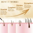 thumbnail image 6 of Lash by Maya Serum - Lash by Maya Eyelash Serum London (1 Pack), 6 of 8