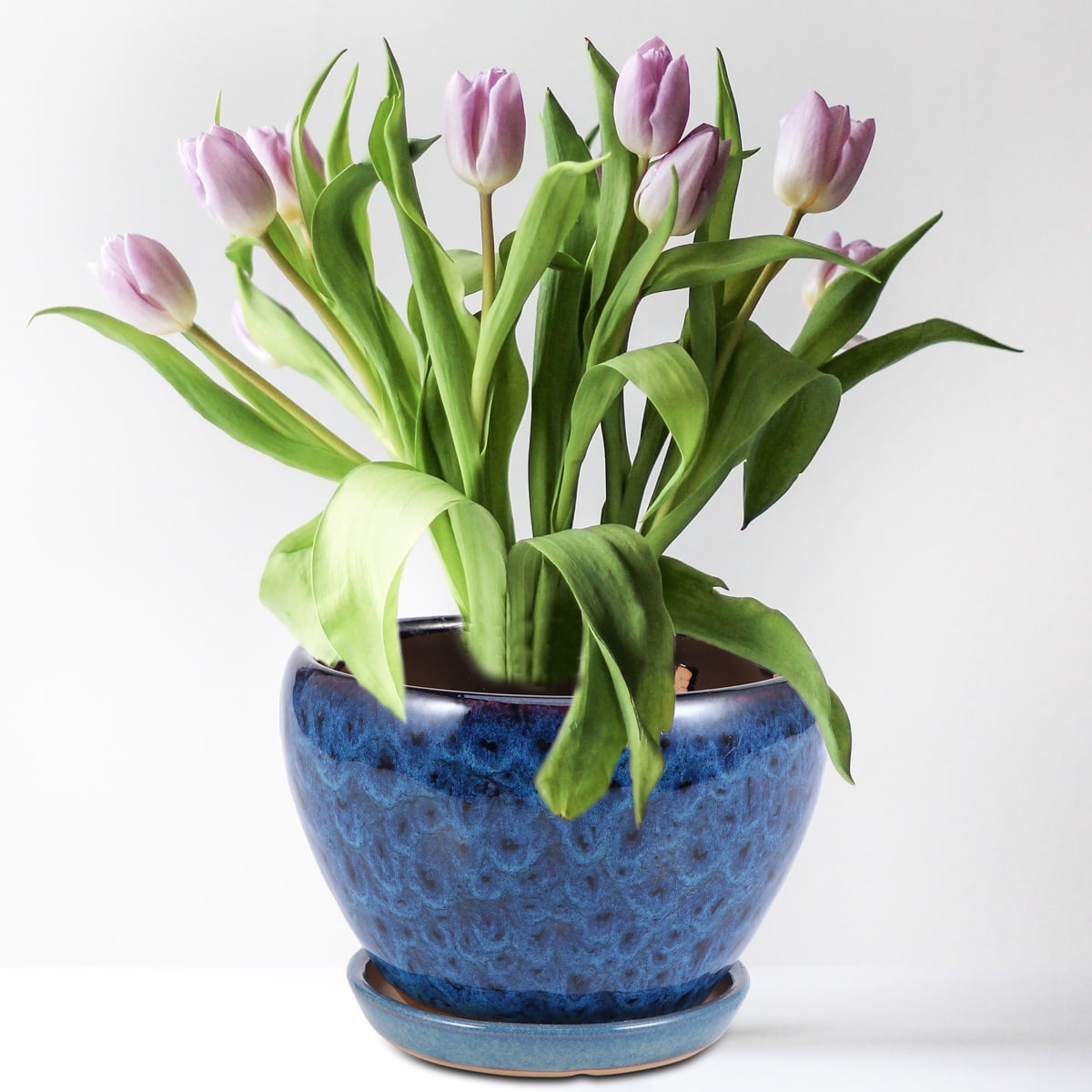 MLINS  Indoor Plant Pot Succulent Flower Creative Planter Decorative Gardening