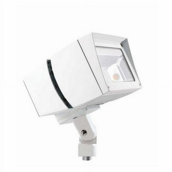 RAB Lighting FFLED39NW Future Flood 39W Neutral LED, 120V/277V, White