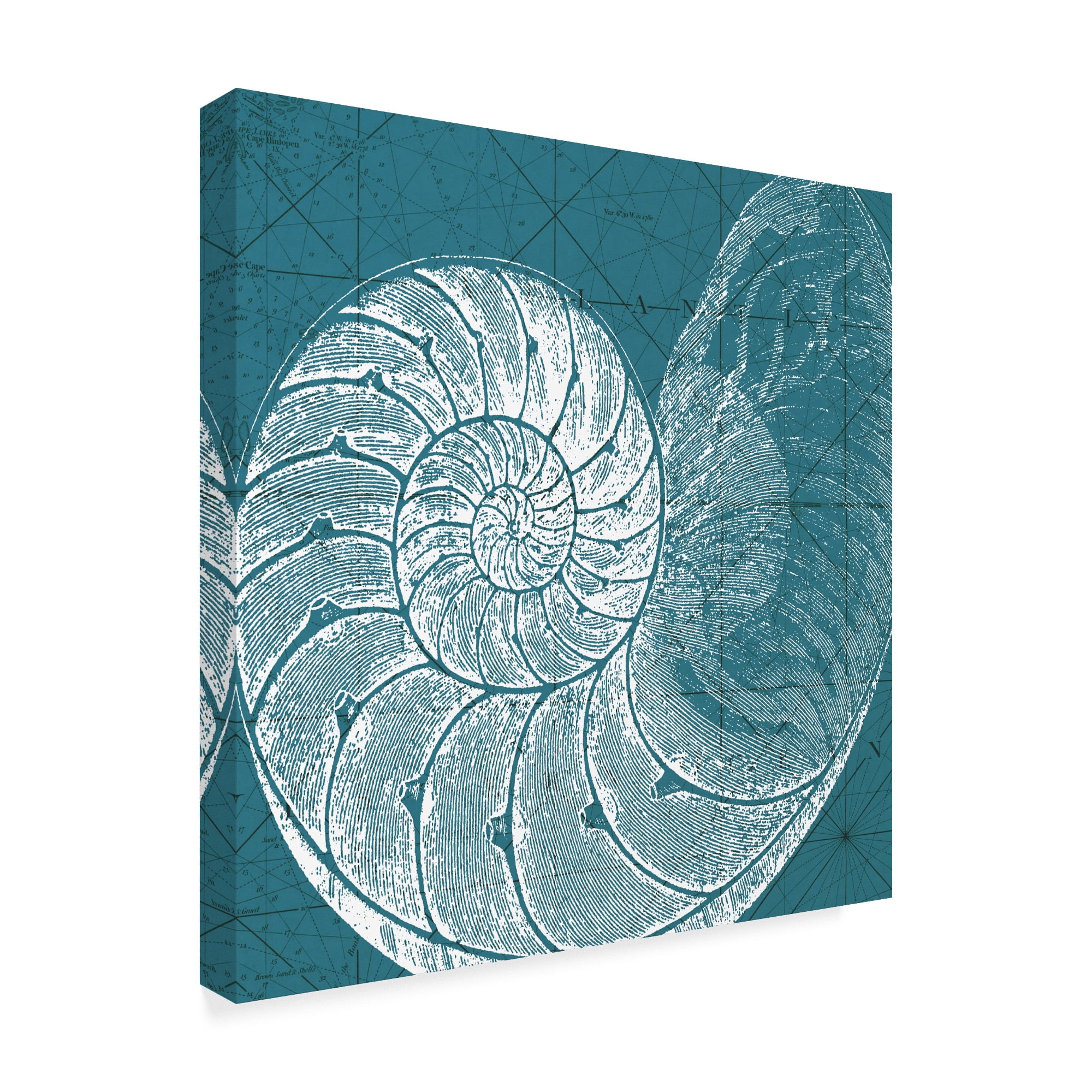 Trademark Fine Art 'Coastal Menagerie VI' Canvas Art by Vision Studio