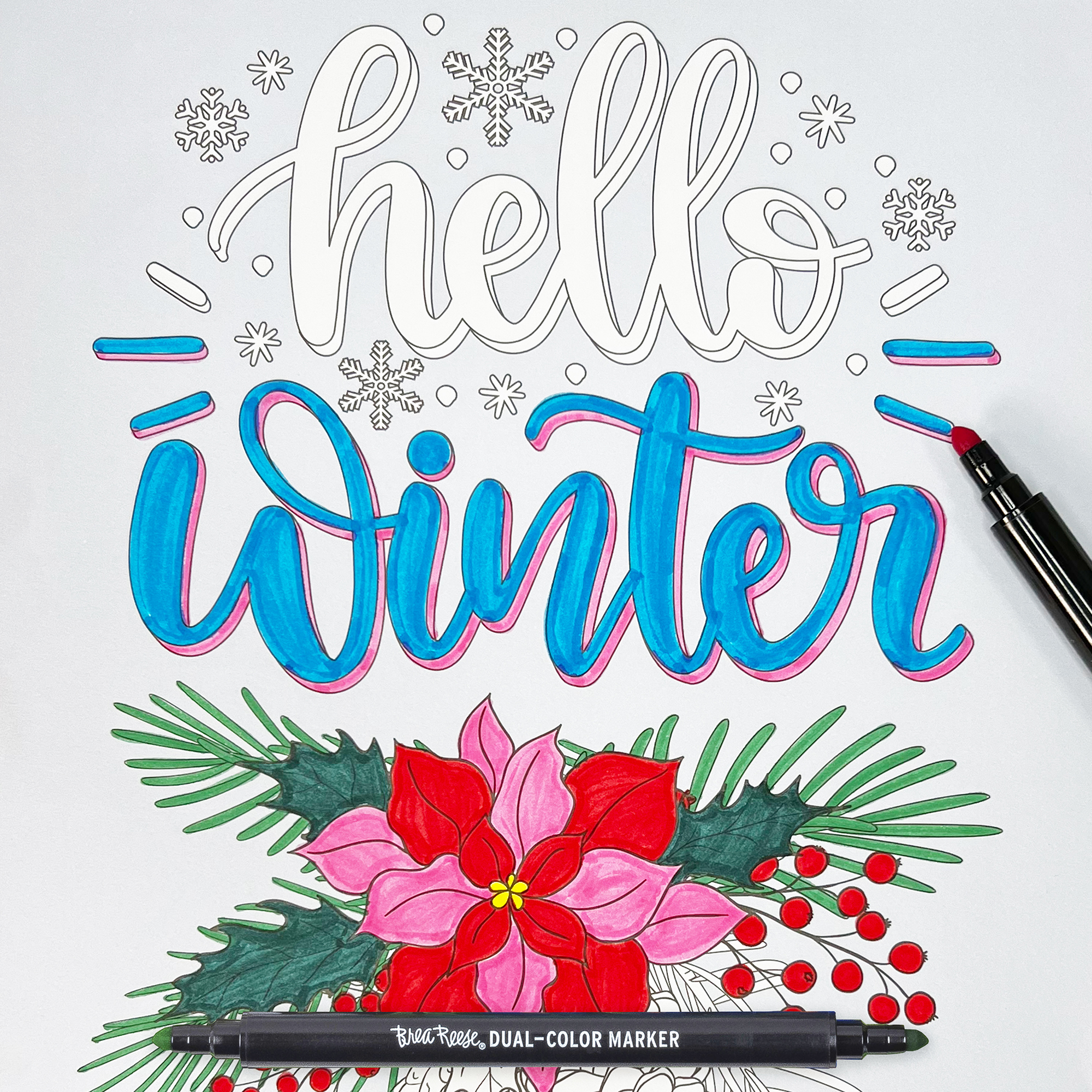 Brea Reese: Marker Coloring Kit - Cardinal - 5 Dual-Sided Markers, 12 Holiday Bird-Themed Coloring Pages, Festive Spiral-Bound Art Pad, Adult Craft