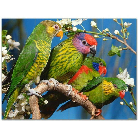 Bird Picture Ceramic Tile Mural Kitchen Backsplash Bathroom Shower 404134-M43
