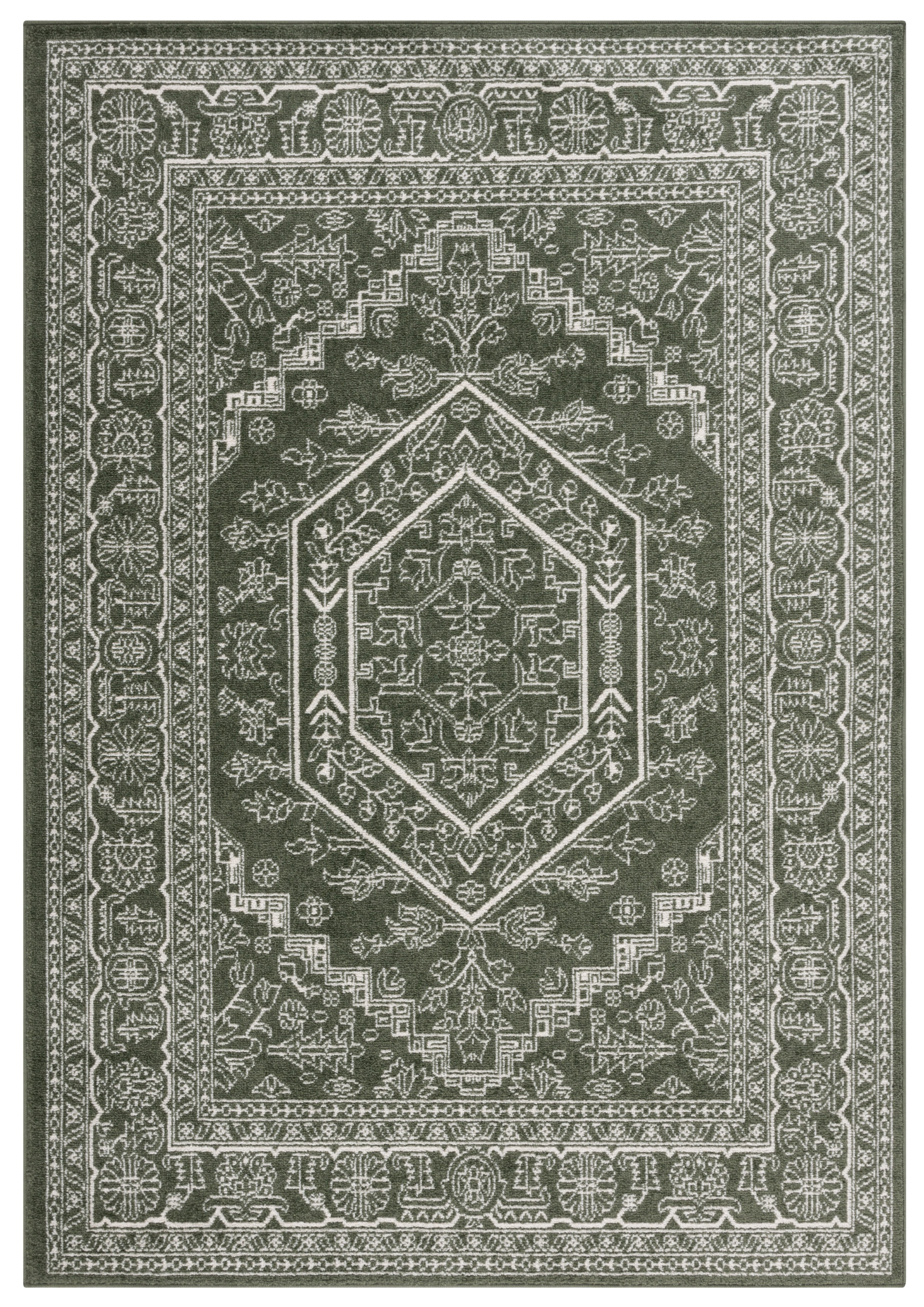 Safavieh Adirondack Xavier Oriental Area Rug, Dark Green/Ivory, 10' x 14'