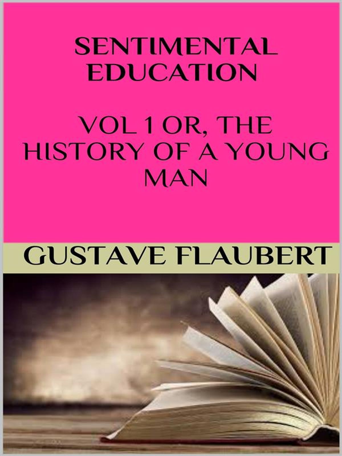 gustave flaubert sentimental education