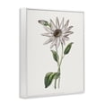 thumbnail image 2 of Stupell Industries Cottage Vintage Mum Sprig White Framed Giclee Art, 24 x 30, by CAD Designs, 2 of 7