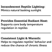 Vibrant Life Basking Bulb for Reptiles, 100 Watts, Terrarium Habitat Lighting