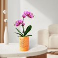 thumbnail image 4 of Orchid Pots with Holes 4 Inch, Ceramic Orchid Pot for Repotting with Saucers,More Ventilation Hole Easy Breathing, Plant Pot for Repotting Orchids and Other Flowers - Indoor/Outdoor Orange, 4 of 10