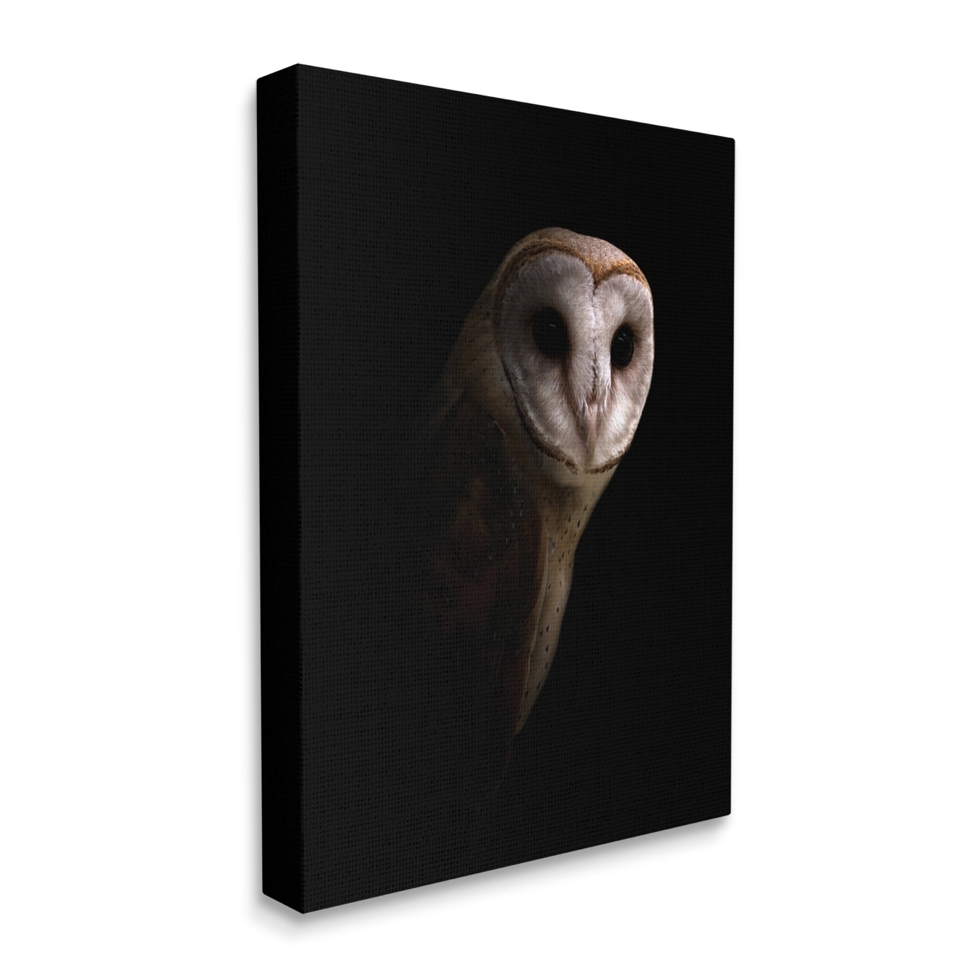 Stupell Industries Beautiful Intense Barn Owl Black Shadow Photography Portrait Gallery-Wrapped Canvas Print Wall Art, 16x20, by Incado