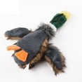 thumbnail image 3 of Wild Duck Squeaker Duck Toy Exercise Activity Fitness Play, 3 of 5
