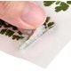 thumbnail image 3 of 10 hojas de pegatinas de plantas en miniatura de hoja de arce verde de 15 x 10,5 x 0,01 cm, 3 of 3
