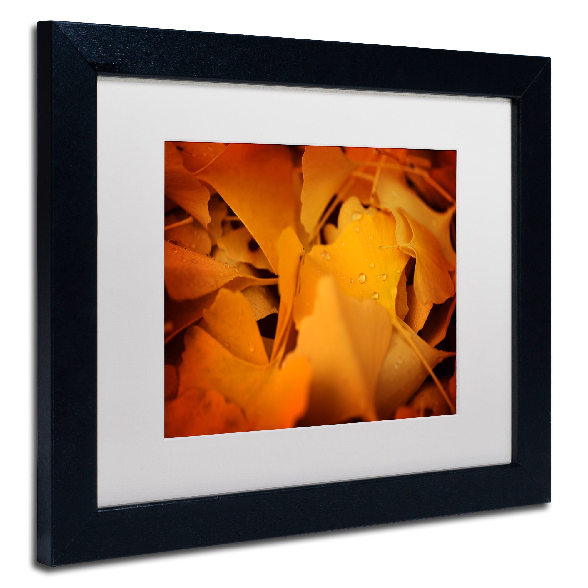Trademark Fine Art "Divine Pearls" Canvas Art by Philippe Sainte-Laudy White Matte, Black Frame