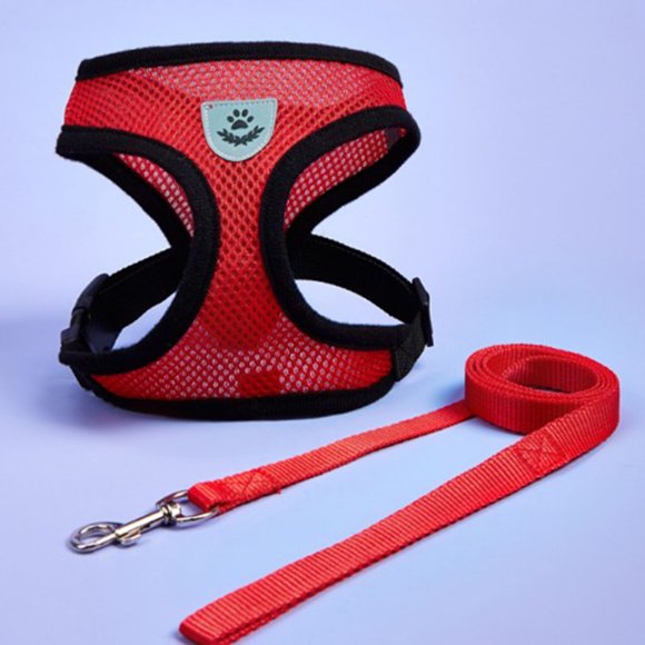 Adjustable Mesh Breathable Dog Harness Pet Vest Rope breathable vest Dog Strap On Chest Strap Set For Poodle Puppy