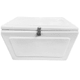 thumbnail image 1 of CAJA GRANDE PARA REPARTO DE ALIMENTOS EN MOTO DE 100L DE CAPACIDAD, 1 of 6
