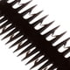 thumbnail image 3 of Cepillo para teñir el cabello 2 en 1, tejido que el salón, peine de fino negro Zulema Cepillo para teñir el cabello, 3 of 7
