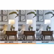 EcoSmart LED 60W Equivalent Selectable Color A19, Medium Base, Dimmable (2 Pack)