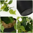 thumbnail image 3 of Clispeed Realistic Artificial Pothos Plant in Decorative Pot, Faux Hanging Greenery for Indoor Home, Office, and Living Room Decor, 3 of 7
