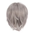 thumbnail image 2 of Peluca de cosplay peluca de disfraz corta práctica completa para fiesta de disfraces de club masculino jinwen Gris, 2 of 8