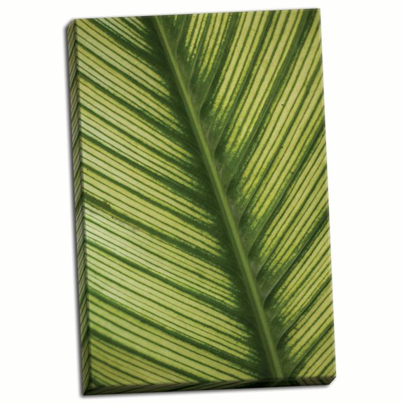 Gango Home Decor Leaf Detail 1 by Erin Berzel (Ready to Hang); One 24x36in Hand-Stretched Canvas