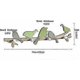 thumbnail image 2 of Behind The Door Coat Hook Living Room Aisle Wall Hook Key Clothing Hook (color : Green), 2 of 4