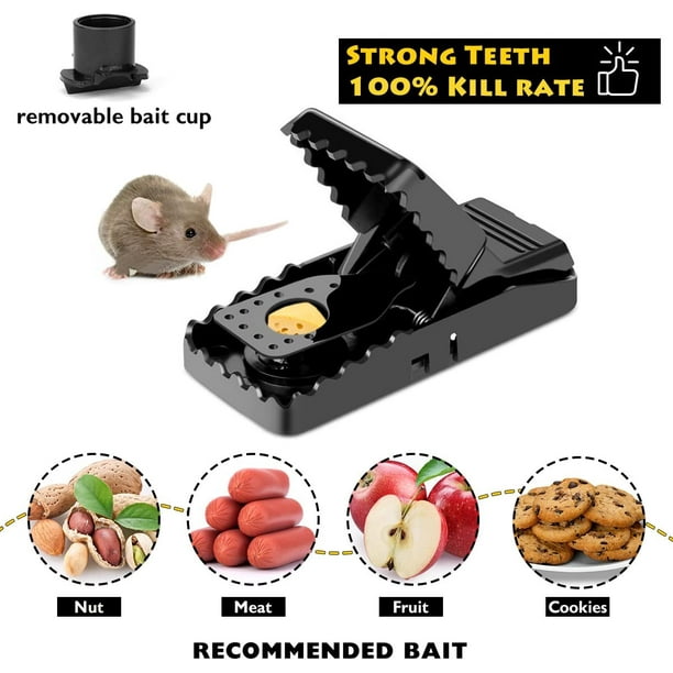 Mouse Trap Mouse Traps That Work Mice Trap Outdoor Indoor Best