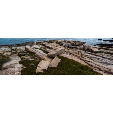 View of rocks at coast Acadia National Park Maine USA Poster Print by Panoramic