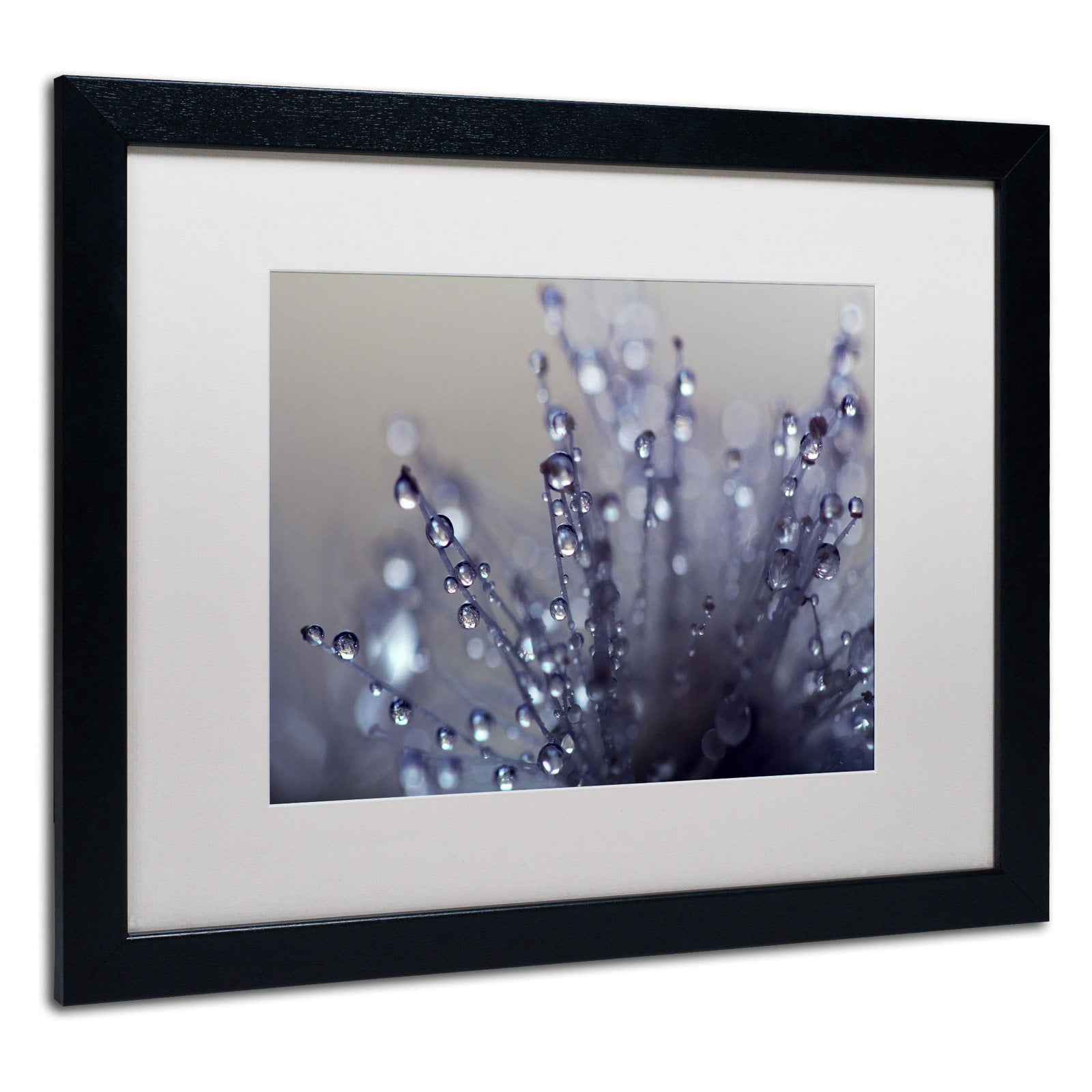 Trademark Fine Art "Evening Jewels" Canvas Art by Beata Czyzowska Young, Black Matte, Black Frame