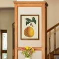 thumbnail image 4 of Wexford Home Antique Pear Botanical II-Framed - Maple - 22X30, 4 of 4