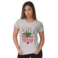 thumbnail image 3 of Ohio Stenciled Buckeye Leaf OH Cool Womens Slim Fit Graphic Tee Brisco Brands L, 3 of 5