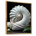 thumbnail image 2 of Designart "Nautilus Sheels Animal " Animals Floater Framed Wall Decor, 2 of 7