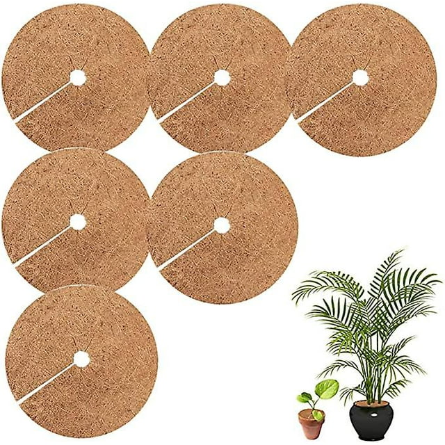 Tapis de Plante Coco 20CM, Protection Hivernale pour Plantes en Pot, Disque de Protection pour Plantes, Tapis de Protection Biodégradable en Fibre de Coco, 6